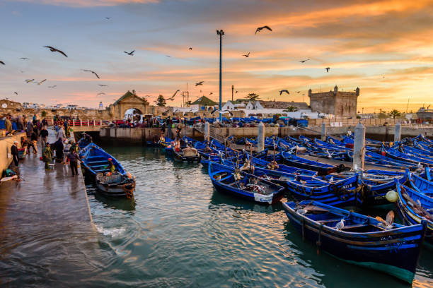 Essaouira Day Trip from Marrakech