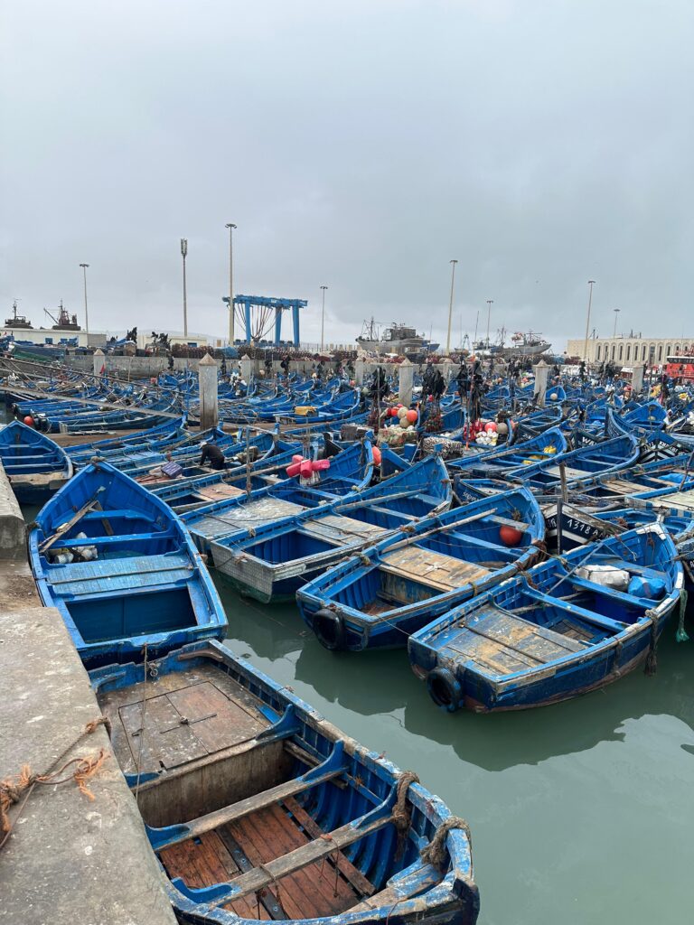 Essaouira Private Day Trip from Marrakech