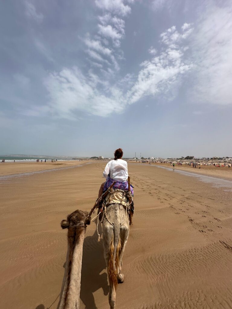 Private tour services from Marrakech