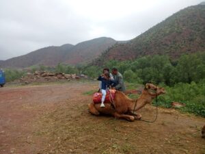 Is Ourika Valley Worth Visiting?