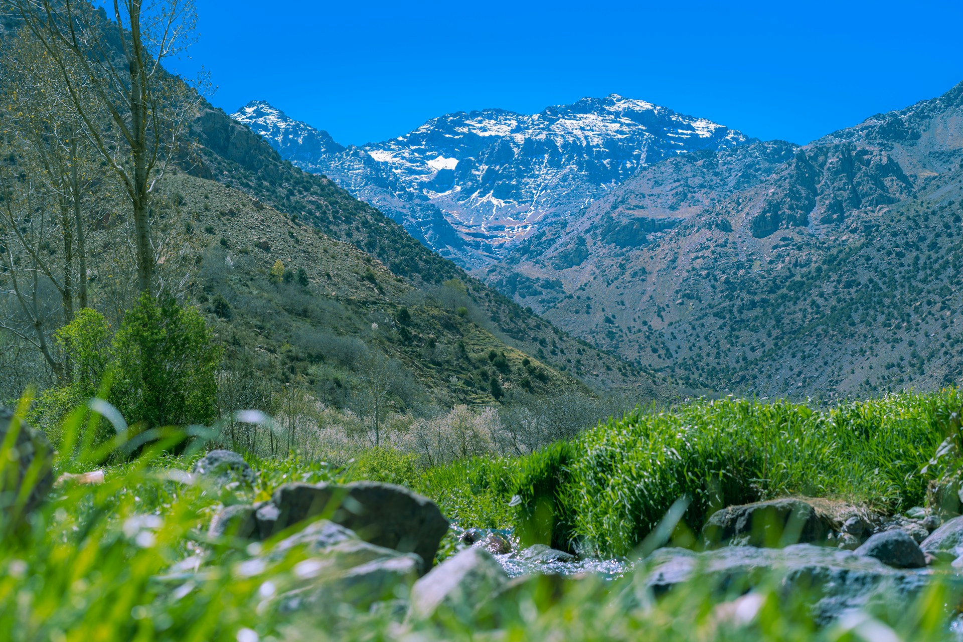 Local agriculture in Imlil