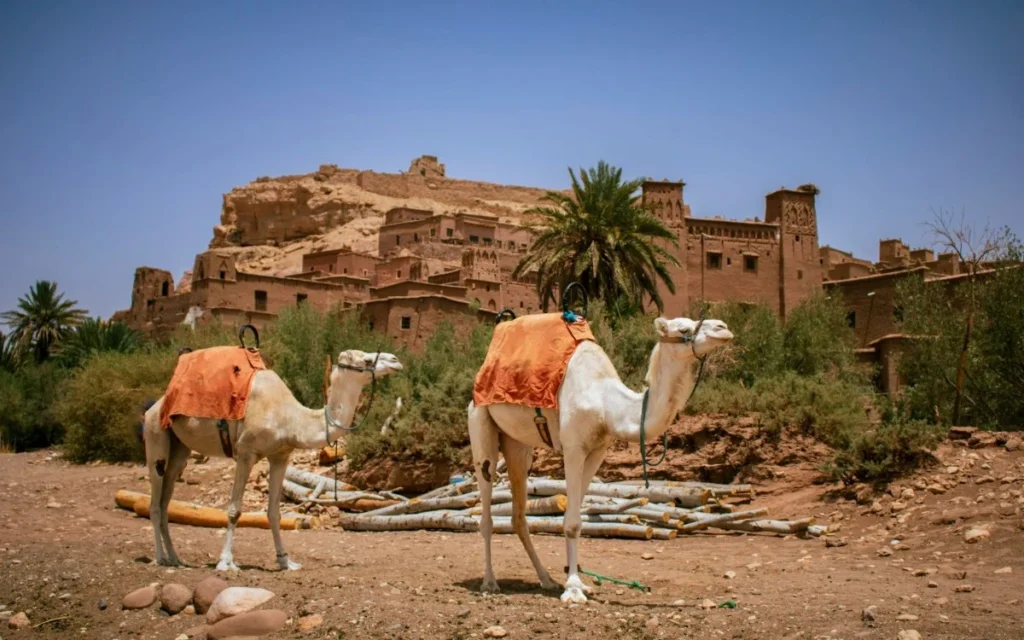 Ait Ben Haddou Kasbah in Morocco near Ouarzazate