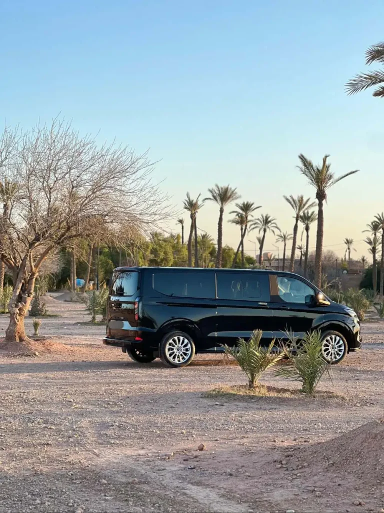 Black Ford Tourneo van parked among young palm trees in the Marrakech palmeraie at dusk