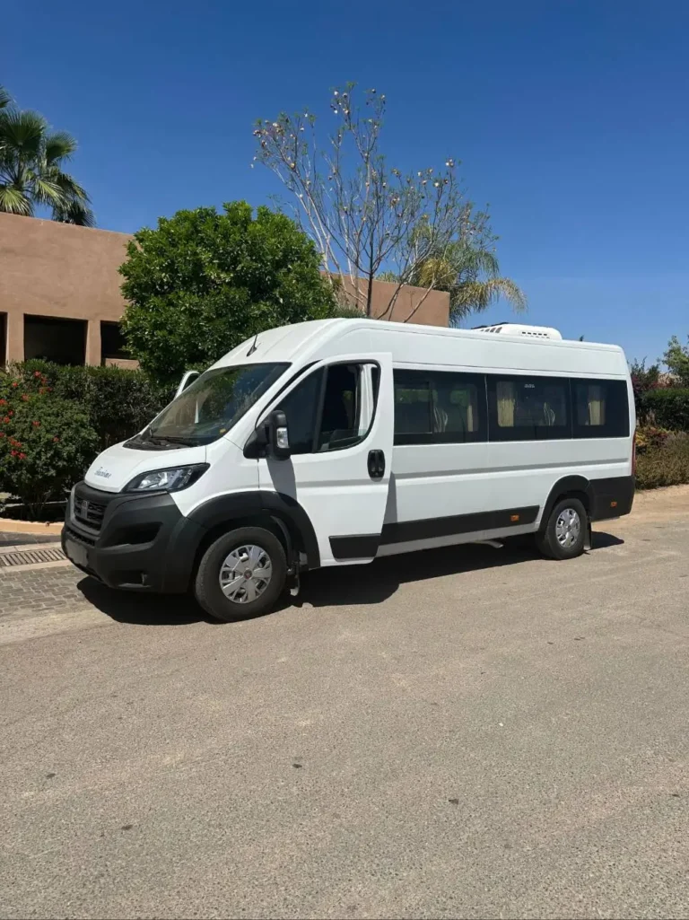 White Fiat Ducato minibus parked on a street in Marrakech near palm trees and a traditional building